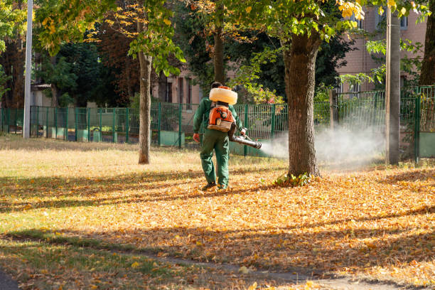 Best Rat Extermination Near Me  in Blackwater, AZ