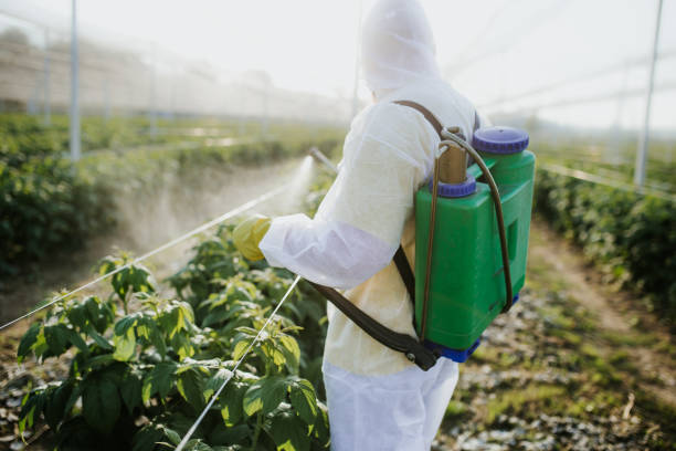 Pest Control for Restaurants in Blackwater, AZ